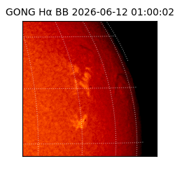 gong - 2026-06-12T01:00:02