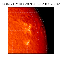 gong - 2026-06-12T02:20:02