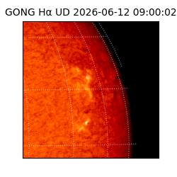 gong - 2026-06-12T09:00:02