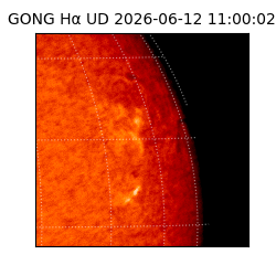 gong - 2026-06-12T11:00:02