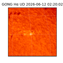 gong - 2026-06-12T02:20:02