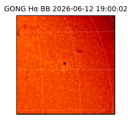 gong - 2026-06-12T19:00:02