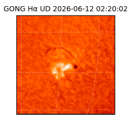 gong - 2026-06-12T02:20:02