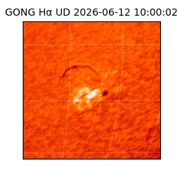 gong - 2026-06-12T10:00:02