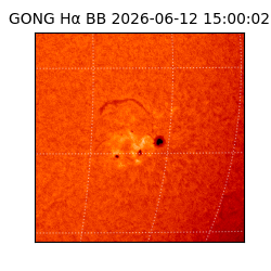 gong - 2026-06-12T15:00:02