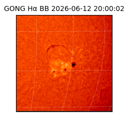 gong - 2026-06-12T20:00:02