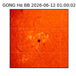 gong - 2026-06-12T01:00:02