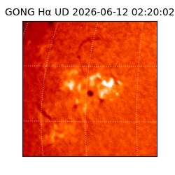 gong - 2026-06-12T02:20:02