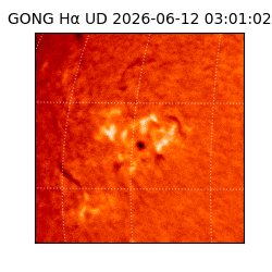 gong - 2026-06-12T03:01:02