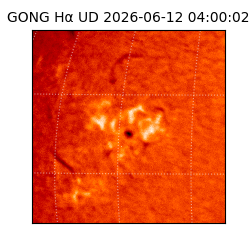 gong - 2026-06-12T04:00:02