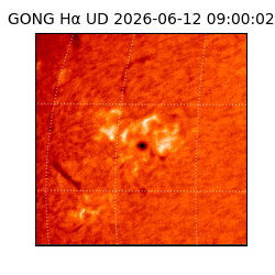 gong - 2026-06-12T09:00:02