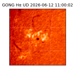 gong - 2026-06-12T11:00:02