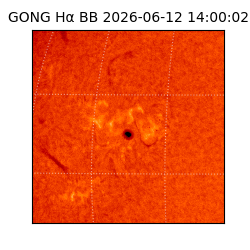 gong - 2026-06-12T14:00:02