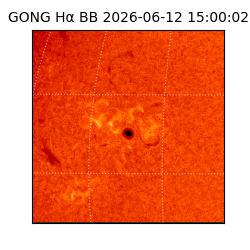 gong - 2026-06-12T15:00:02