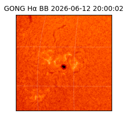 gong - 2026-06-12T20:00:02