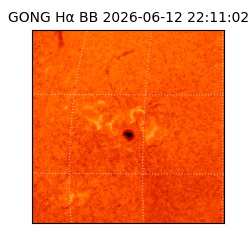 gong - 2026-06-12T22:11:02