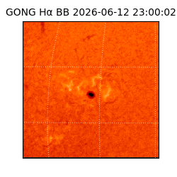 gong - 2026-06-12T23:00:02