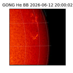 gong - 2026-06-12T20:00:02