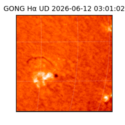 gong - 2026-06-12T03:01:02