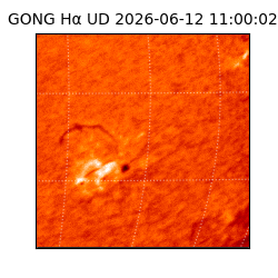 gong - 2026-06-12T11:00:02