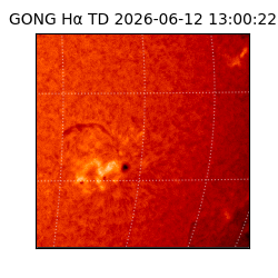 gong - 2026-06-12T13:00:22