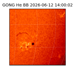 gong - 2026-06-12T14:00:02