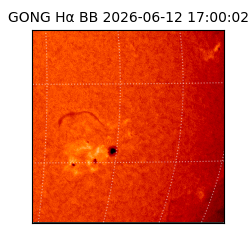 gong - 2026-06-12T17:00:02