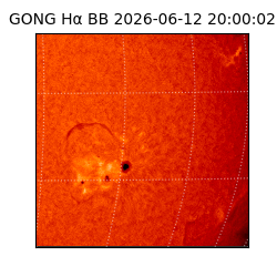 gong - 2026-06-12T20:00:02