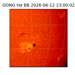 gong - 2026-06-12T23:00:02