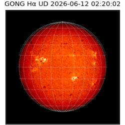 gong - 2026-06-12T02:20:02