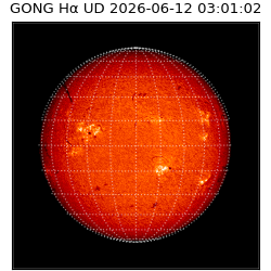 gong - 2026-06-12T03:01:02