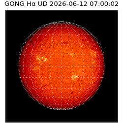 gong - 2026-06-12T07:00:02