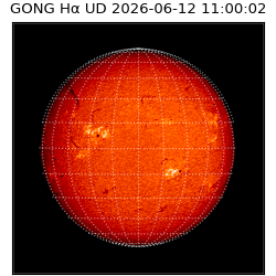 gong - 2026-06-12T11:00:02