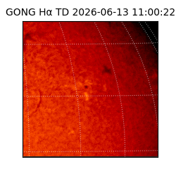 gong - 2026-06-13T11:00:22