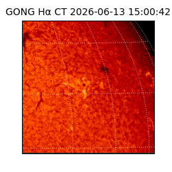 gong - 2026-06-13T15:00:42