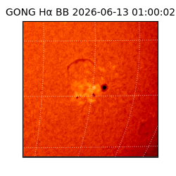 gong - 2026-06-13T01:00:02