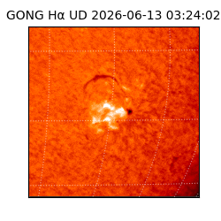 gong - 2026-06-13T03:24:02
