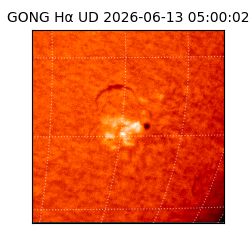 gong - 2026-06-13T05:00:02