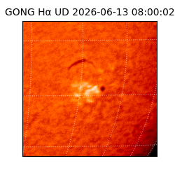 gong - 2026-06-13T08:00:02