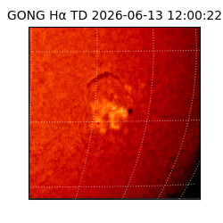gong - 2026-06-13T12:00:22