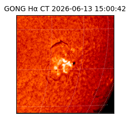 gong - 2026-06-13T15:00:42