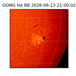 gong - 2026-06-13T21:00:02