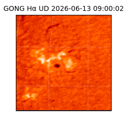 gong - 2026-06-13T09:00:02