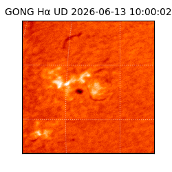 gong - 2026-06-13T10:00:02