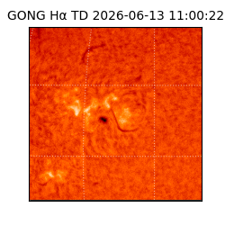 gong - 2026-06-13T11:00:22