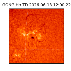 gong - 2026-06-13T12:00:22