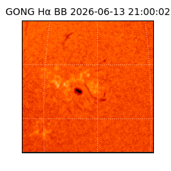 gong - 2026-06-13T21:00:02