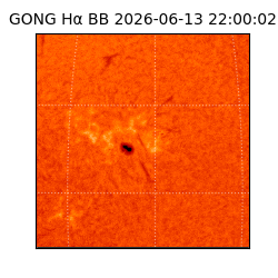 gong - 2026-06-13T22:00:02