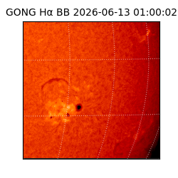 gong - 2026-06-13T01:00:02