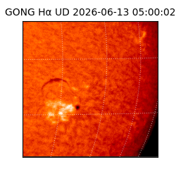 gong - 2026-06-13T05:00:02
